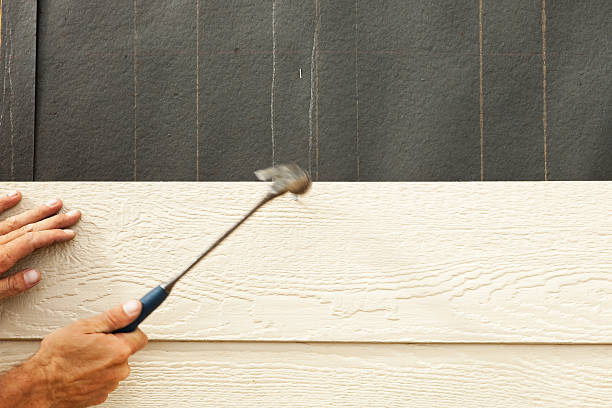 Best Siding for Commercial Buildings  in Fayetteville, AR